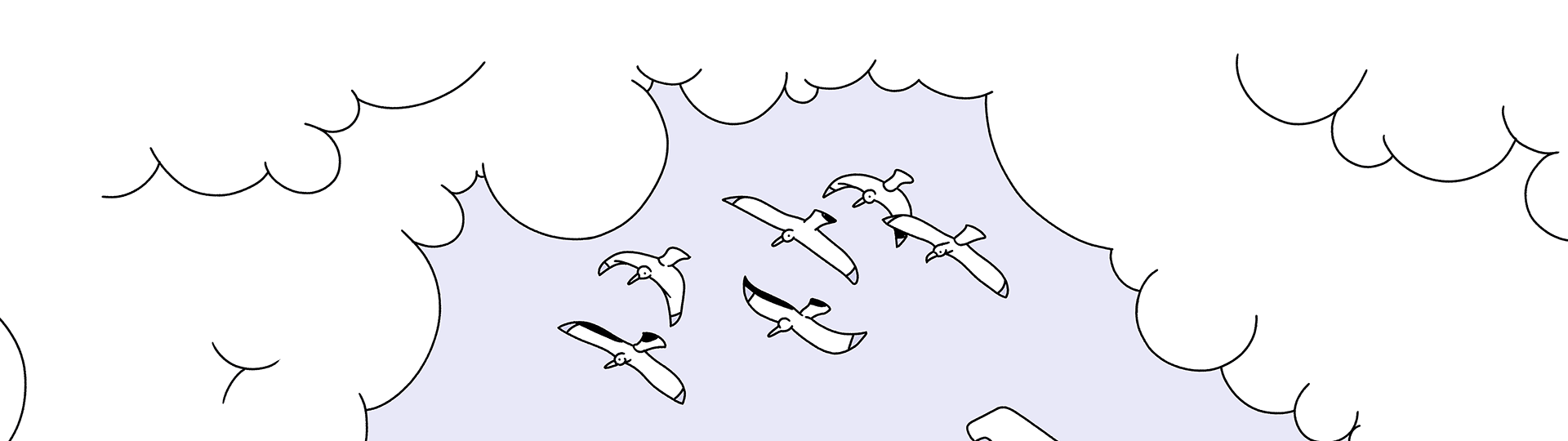 Unbranded aves volando